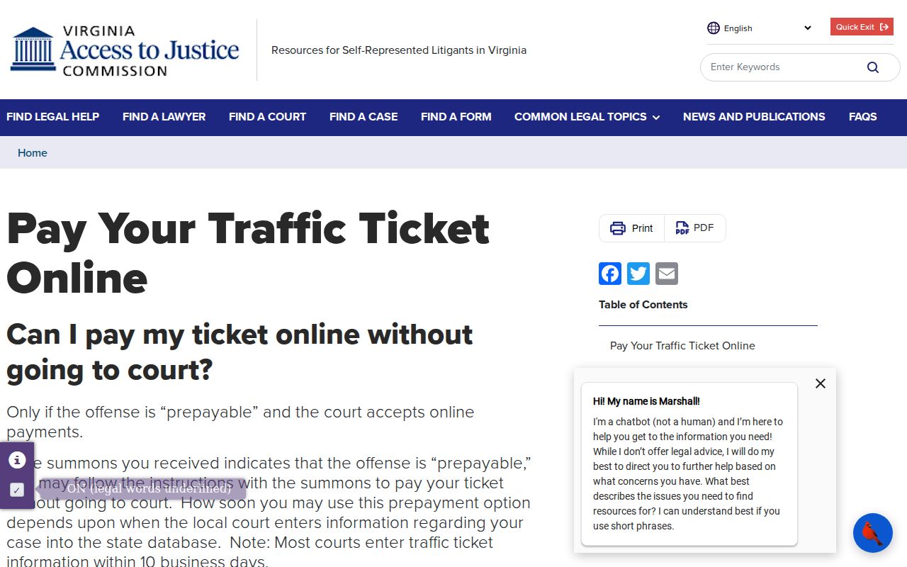 Amelia County traffic warrant records reference showing the official Virginia ticket payment instructions